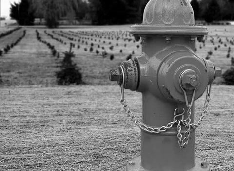 谁知道内部价的DDOS压力测试